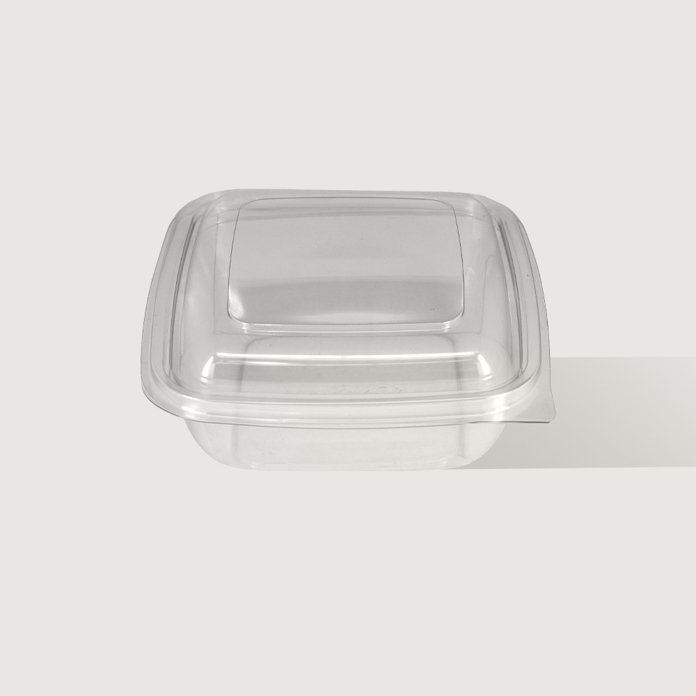 600ml Square Hinged Lid PET Container