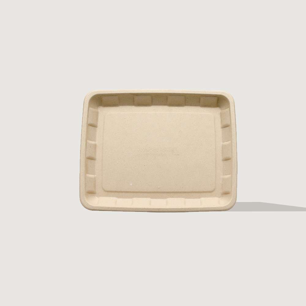 11x9 EcoCane Tray Bagasse