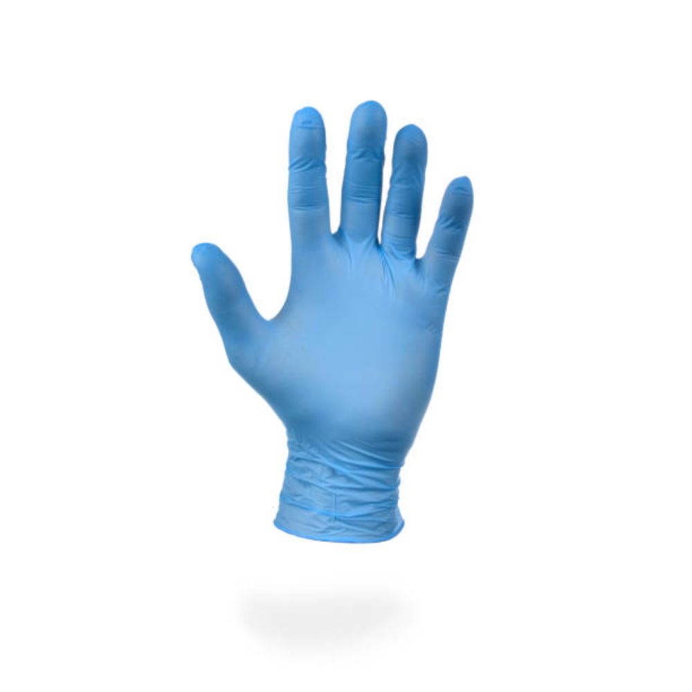 Vinyl Gloves Blue Powder Free